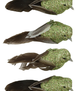 6666 VOGELKLAMMERN FEDERSTOLZ S/6